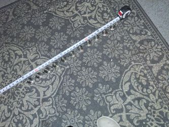 Silver Medalion Belt