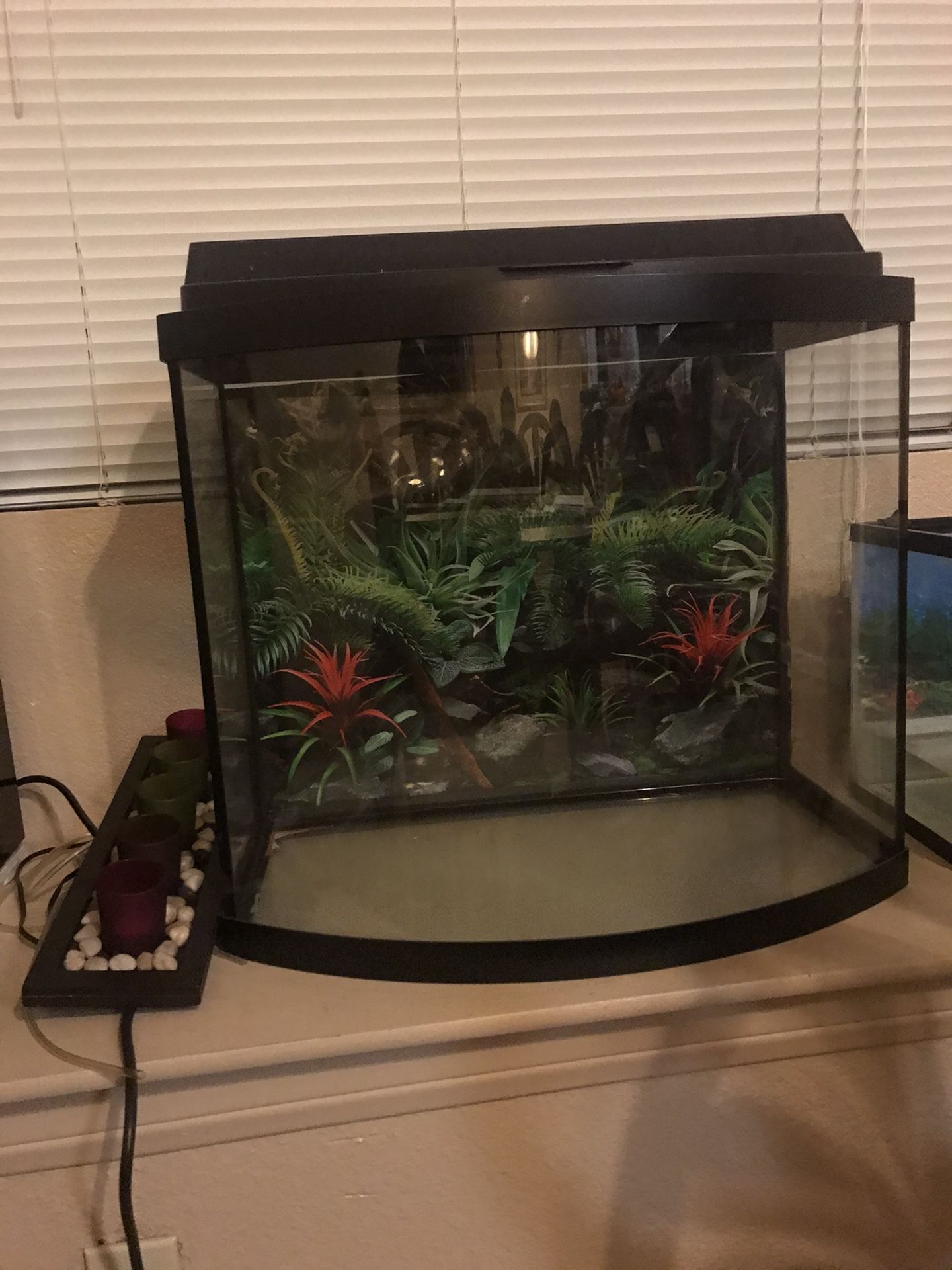 FISH TANK