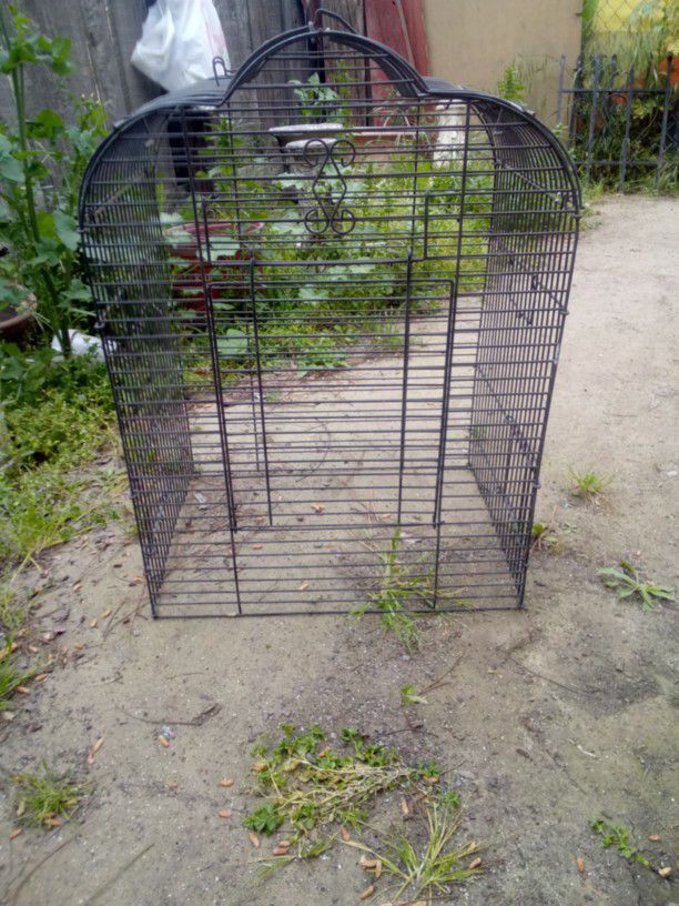 Bird Cage And Feeding Rack For Chickens