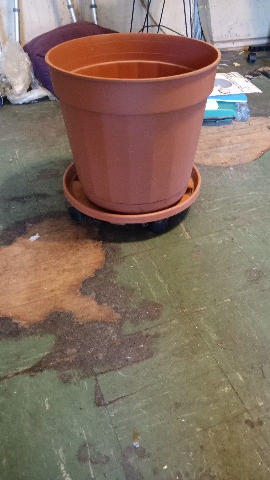 Flower Pot