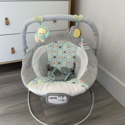 Baby Bouncer
