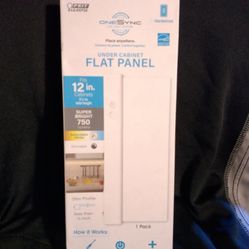 Flat Panel Light