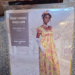 Bridgerton Halloween Costume