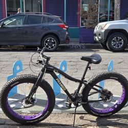Framed Fat Tire