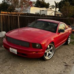 2005 Mustang