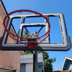 Lifetime BASKETBALL Portable Hoop
