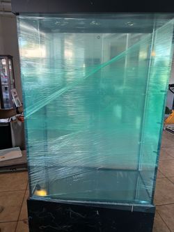 Display cabinet/trophy case
