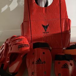Martial arts Sparing Gear