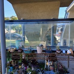 50 Gallon Glass Fish tank