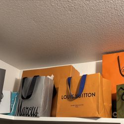 Empty  Designer Shopping  Bag