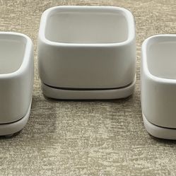 Set Of 3 Succulent Ceramic Pots 3”