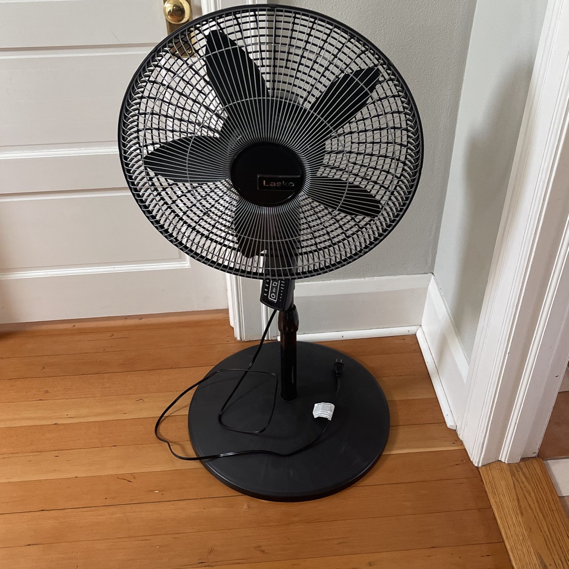 Fan 