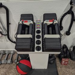 Powerblock Classic Adjustable Dumbbell Set 20-90lbs