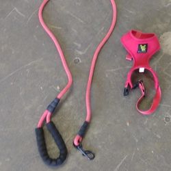 Leash And Collar For Small Dogs