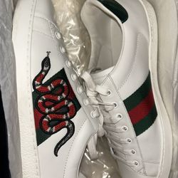 Gucci Snake Aces 🔴🟢