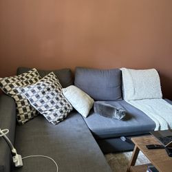 Gray IKEA Couch 