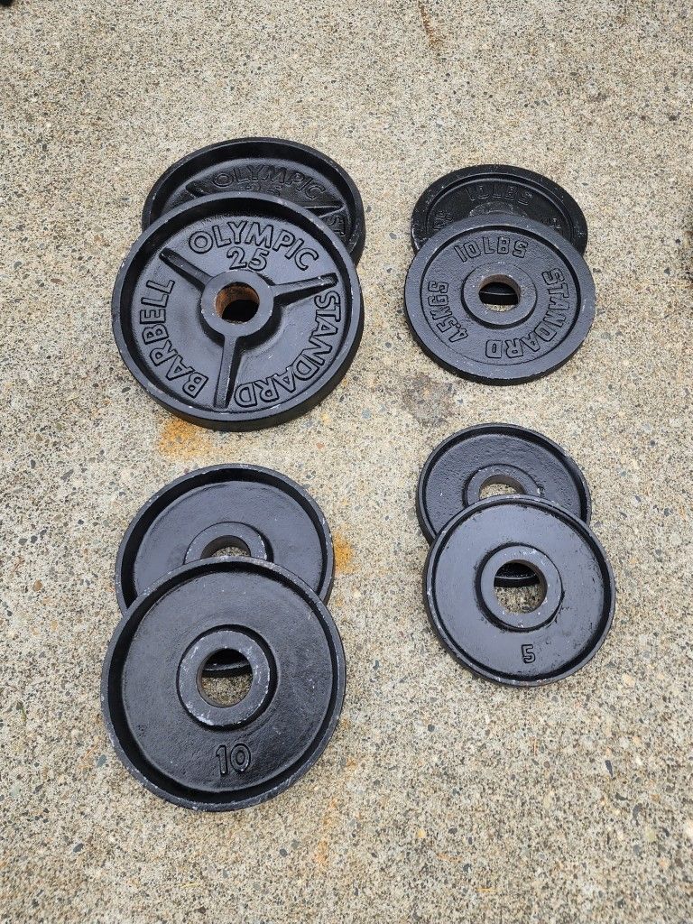 Bench Rack With Weights