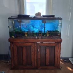 Fish Tank