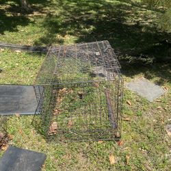 Large Dog Crate & Bird Cage