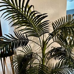 Stunning 5’4” Faux Palm Tree 🌿✨