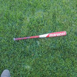 Marucci Baseball Bat