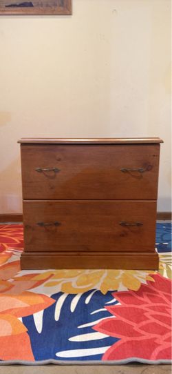 Sauder 2-Drawer Filing Cabinet – Excellent Condition