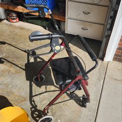 Nice Roller Walker