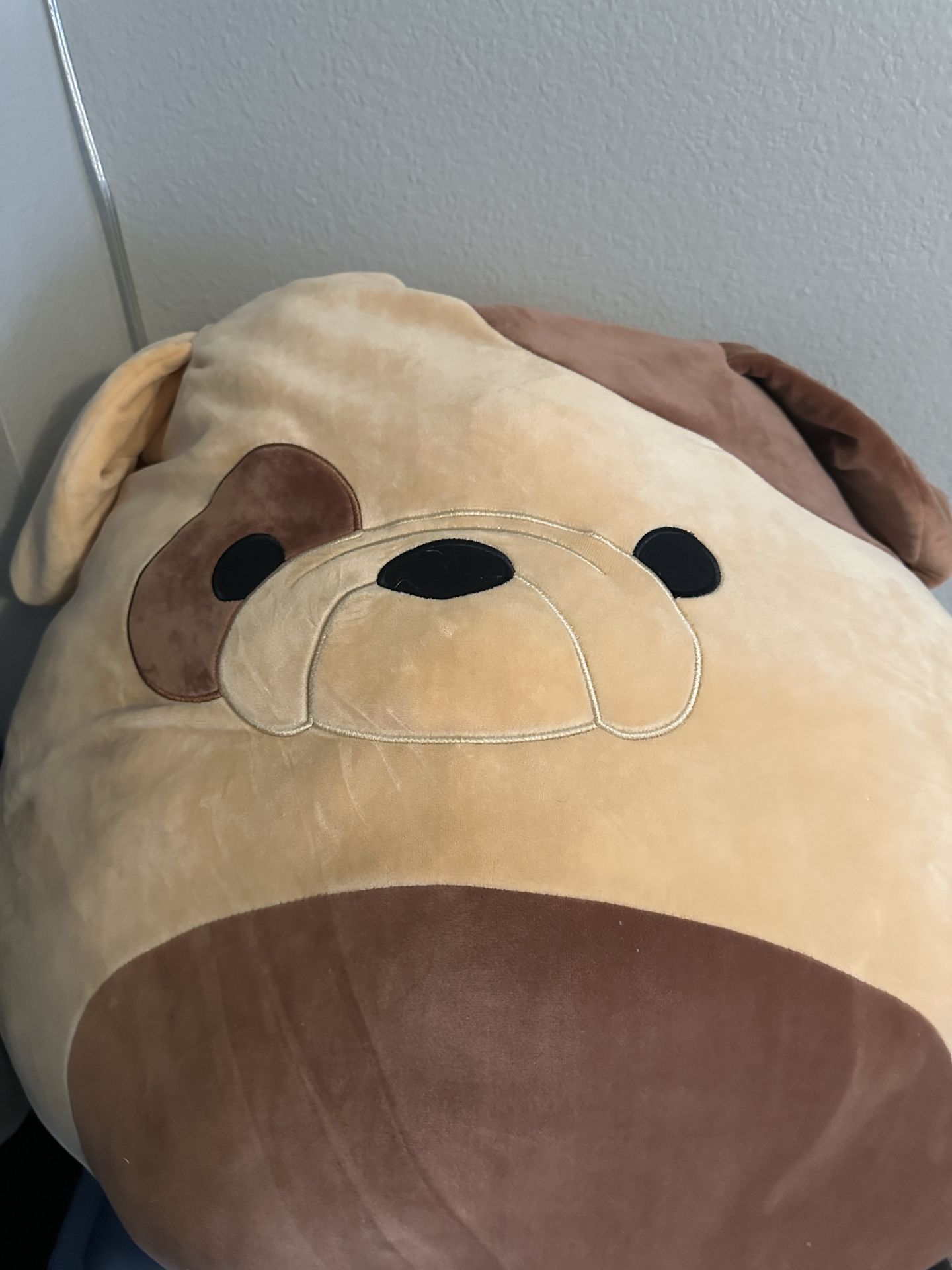 Free 2 Large squishmallows