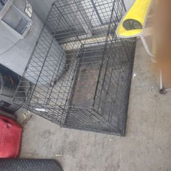 Pet Cage