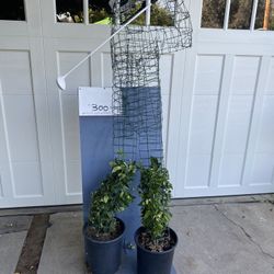 Topiary Plant ( Golfer Man ) 