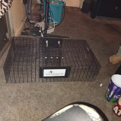 The Ratinator