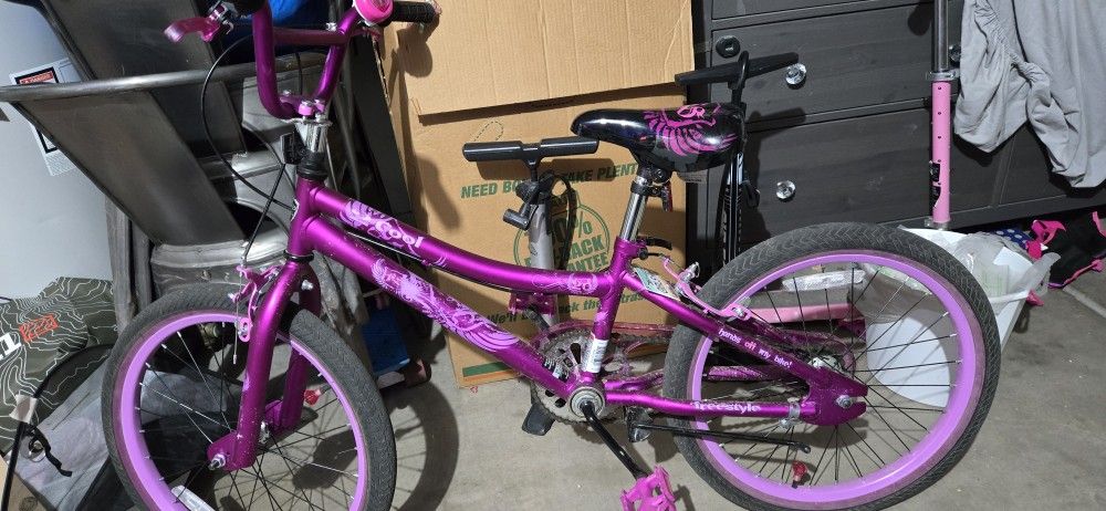 2 Cool Girls 20 Inch Bike
