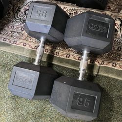 95 Pounds Dumbbells 