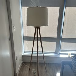 Modern lamp