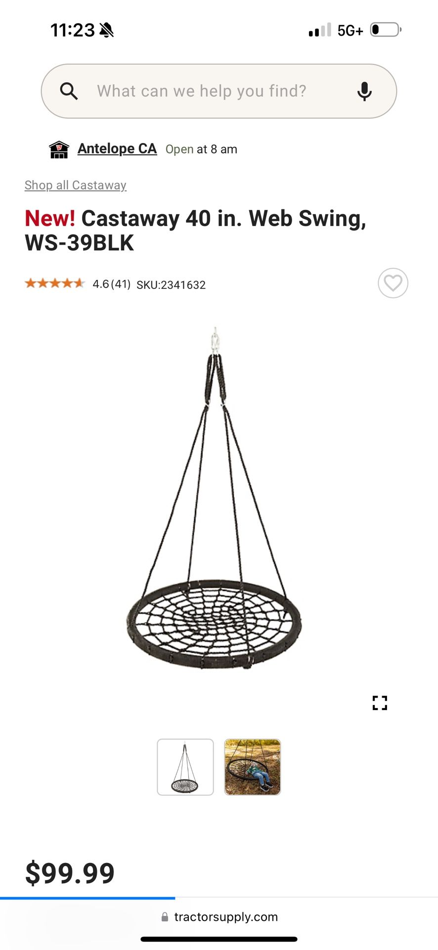 Sturdy Chair Swing