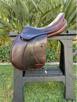 18” Voltaire Palm Beach