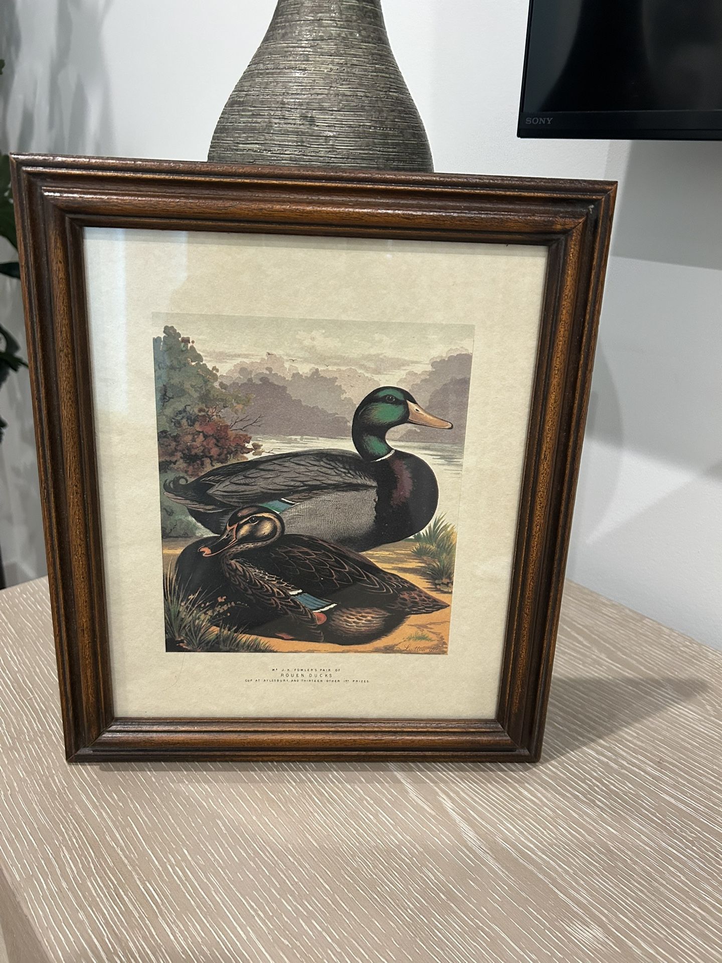 Rouen Duck. JUST REDUCED