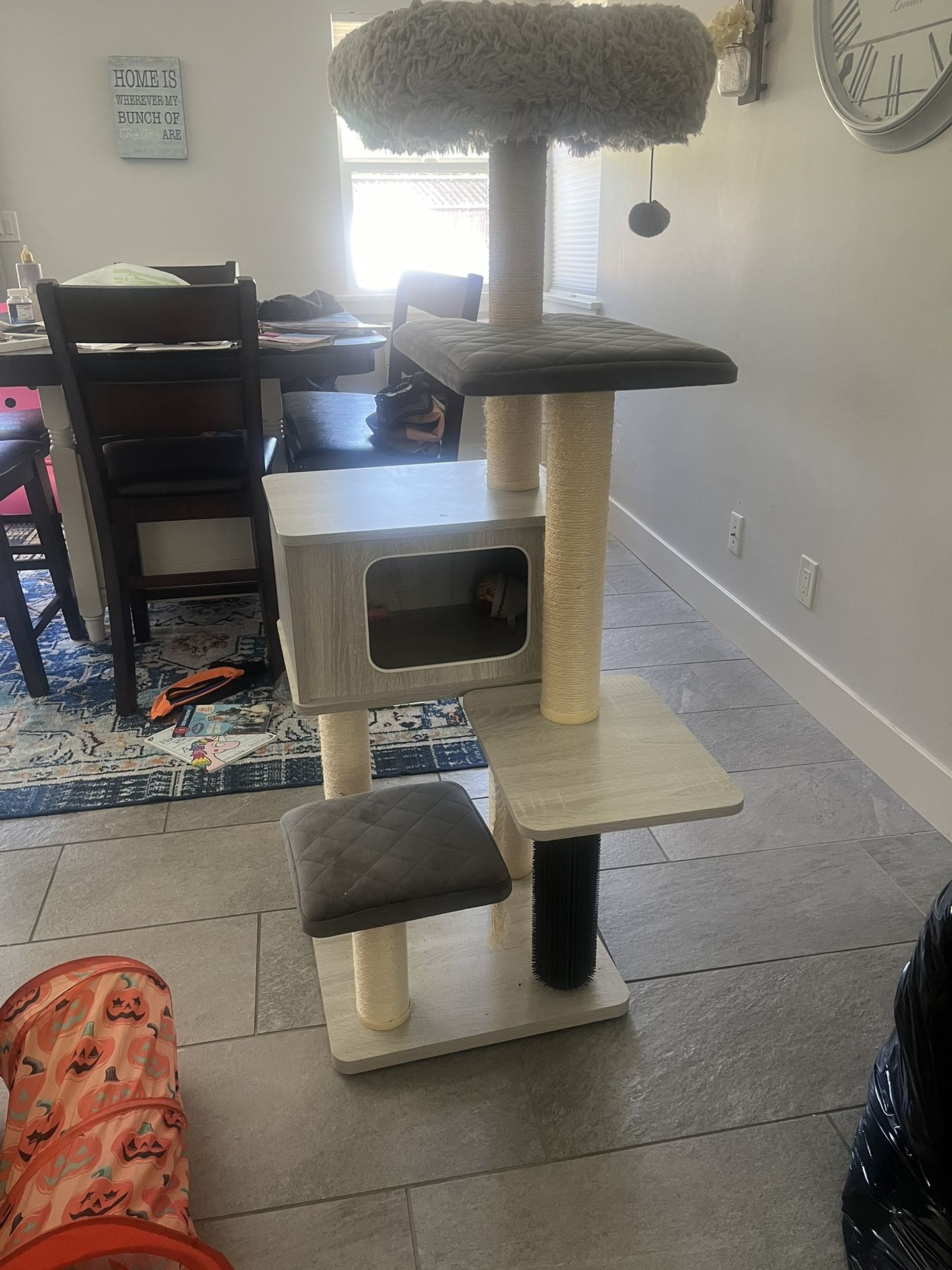 Cat House