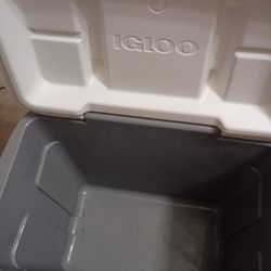 Iglo Cooler