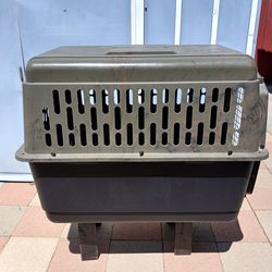 Amazon Playmate Ruffmaxx