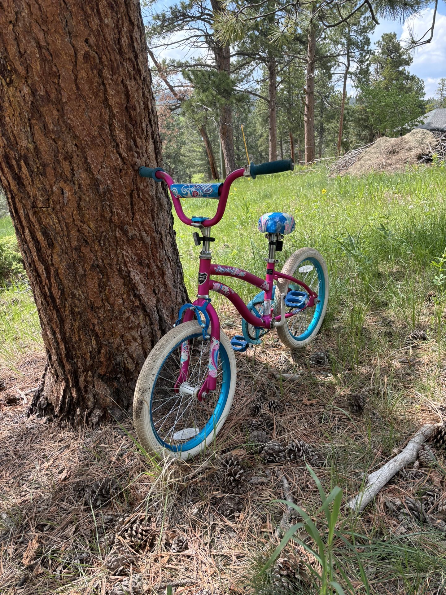 Kids Bike For Sale