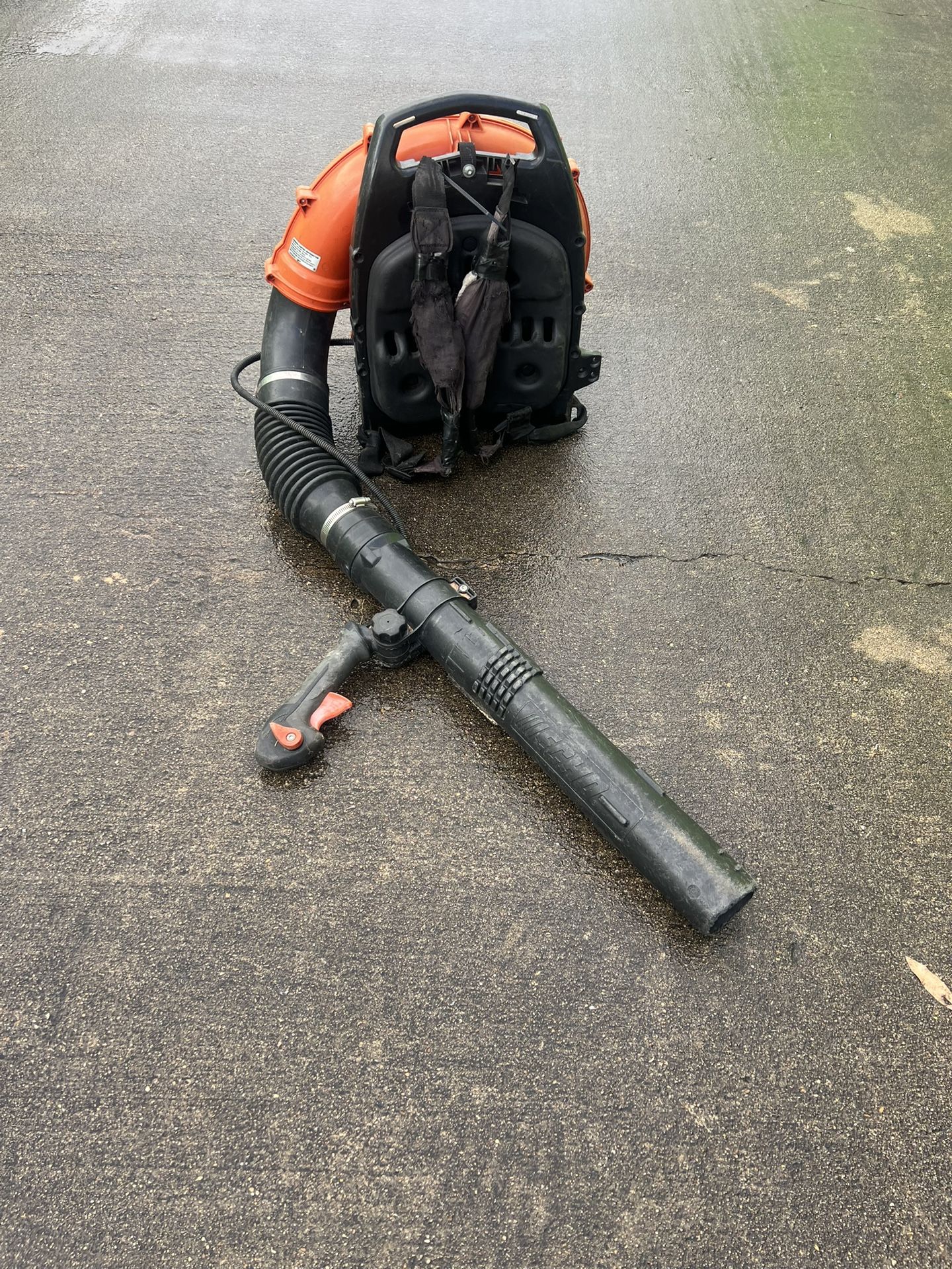 Echo Leaf Blower