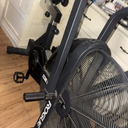 Rogue Echo Bike