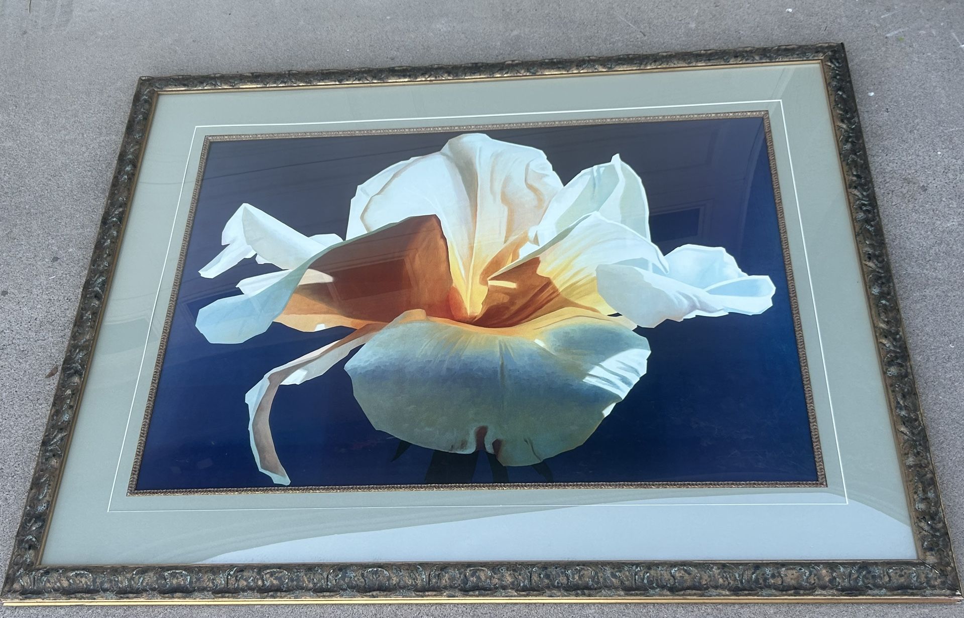 X L Framed Flower Artwork 58” x 44” 64th St & Vell