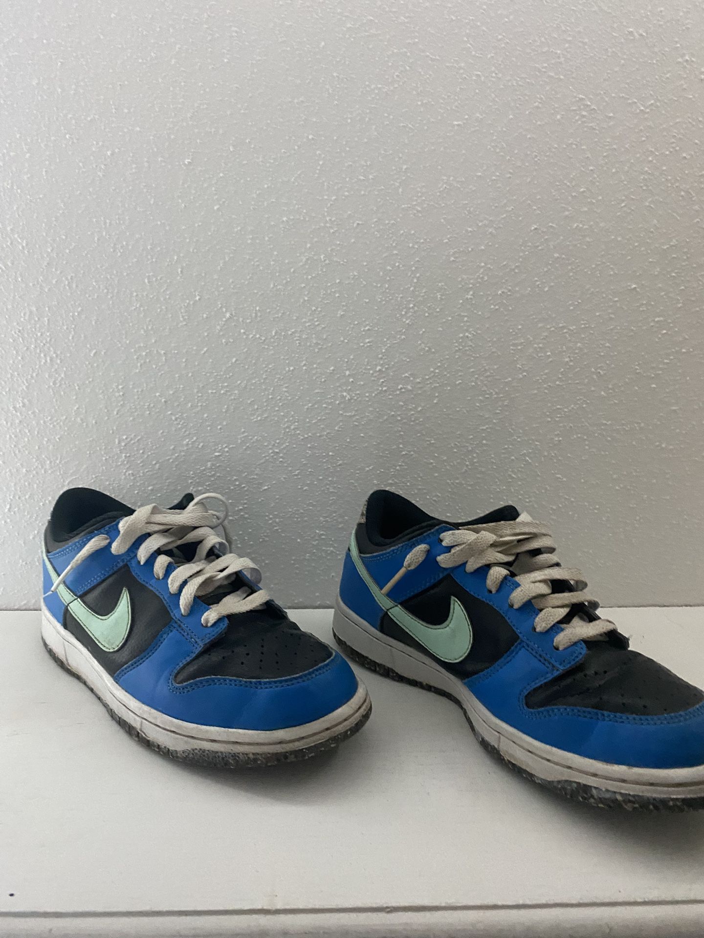 Nike Dunk Shoes