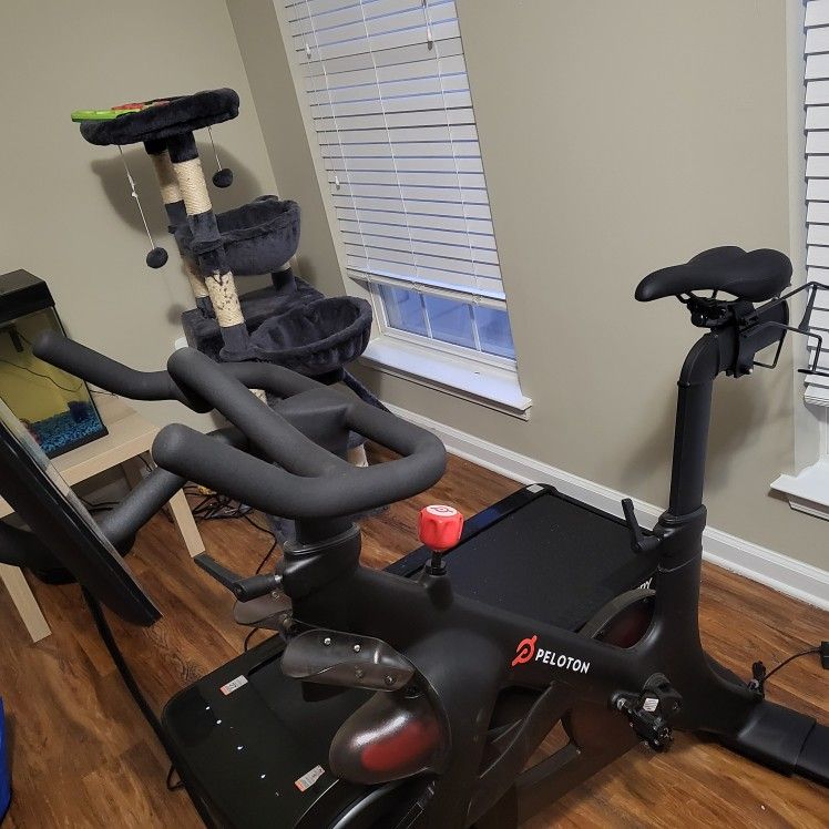 Peloton Bicycle 