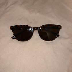 Brown Sunglasses