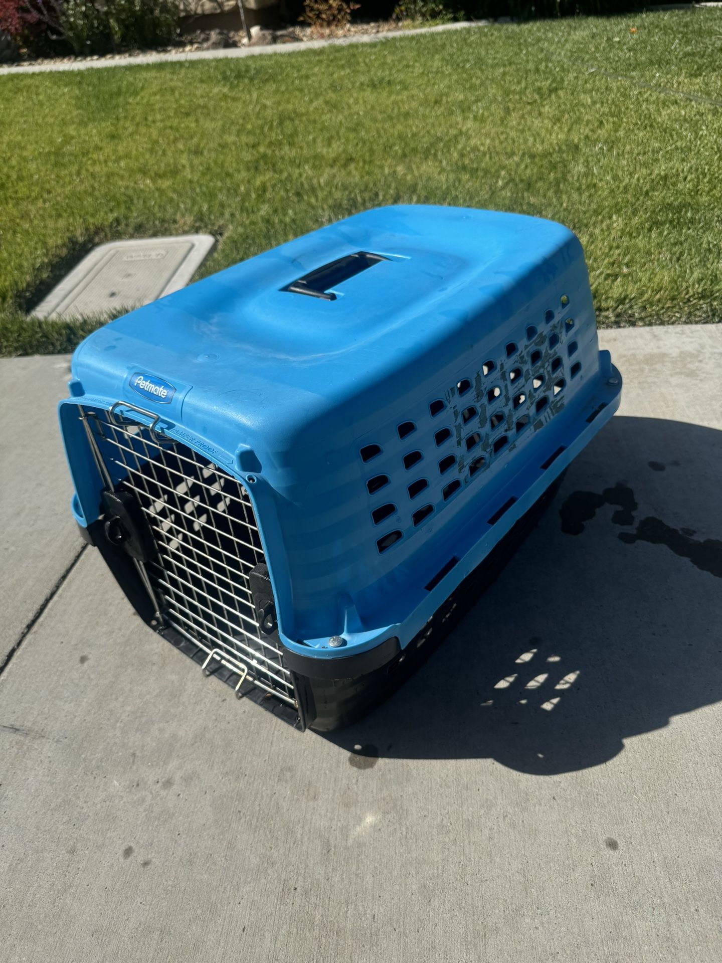 Small Dog Cat Crate Carrier