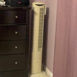 Fan With Remote Control 