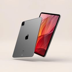 Apple iPad Pro 11 Inch 2nd Generation Tablet - Pay $5 DOWN AVAILABLE - NO CREDIT NEEDED